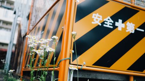 柯达 Portra 160 VC 2