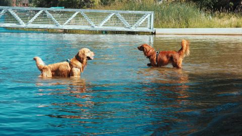 暖色调青绿色和橙色氛围