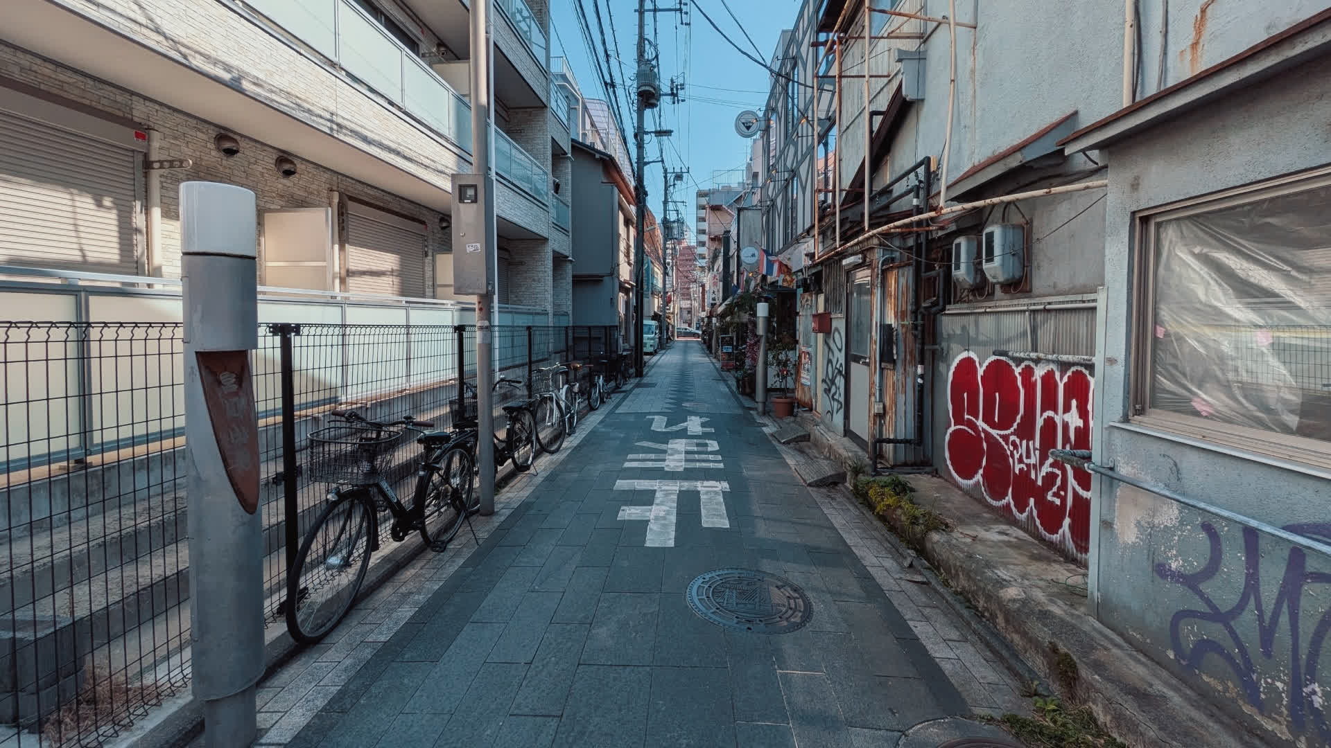 应用 LUT 后预览