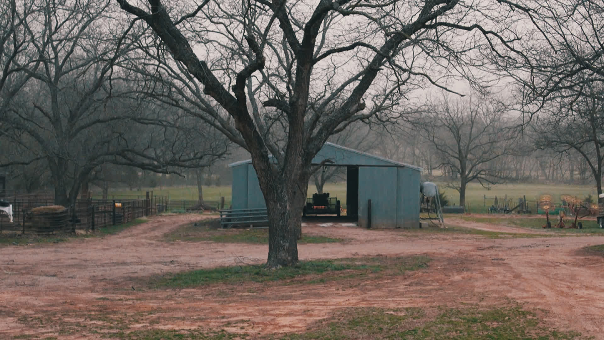 应用 LUT 后预览