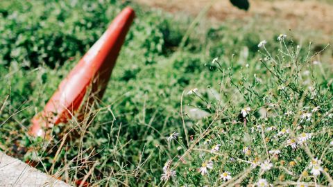 柯达 Portra 400 UC 1 -