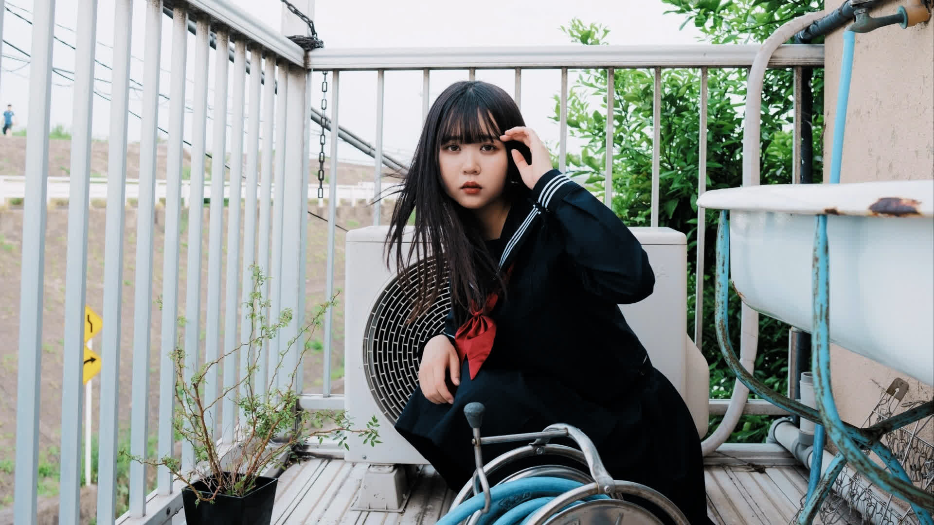 应用 LUT 后预览