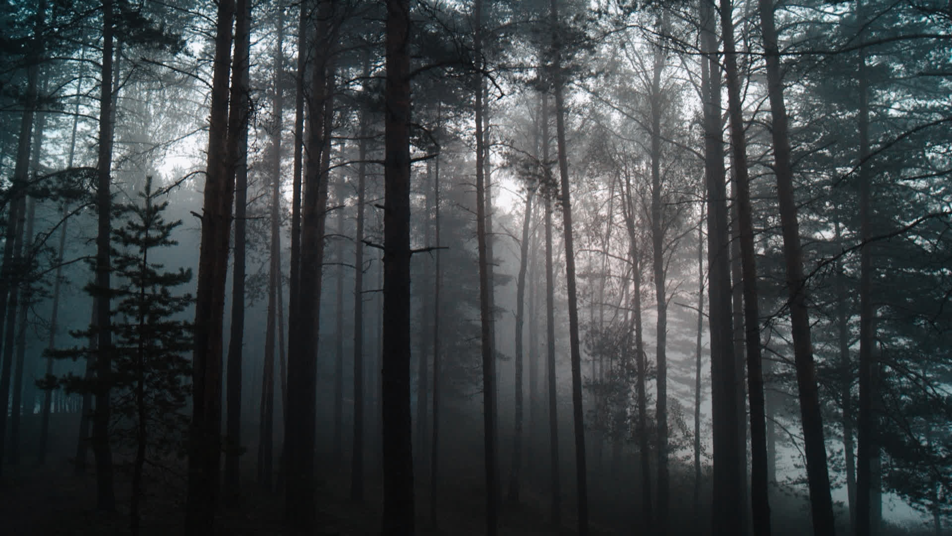 应用 LUT 后预览