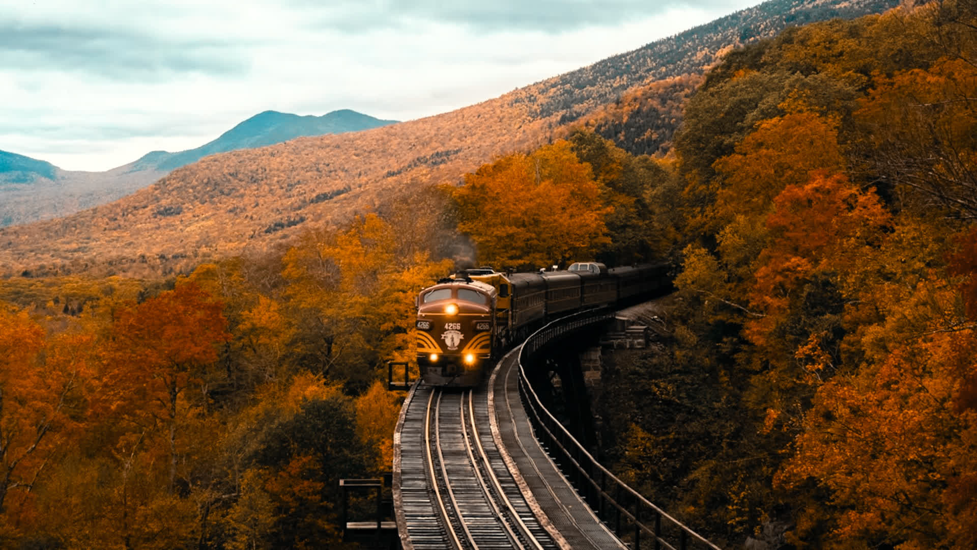 应用 LUT 后预览