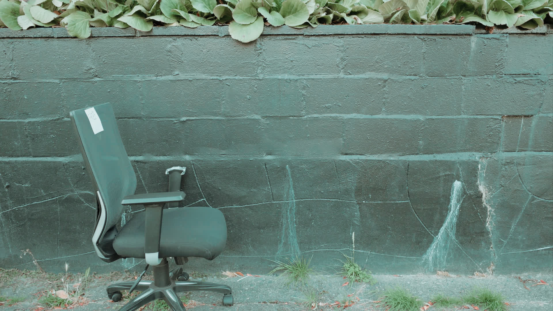 应用 LUT 后预览