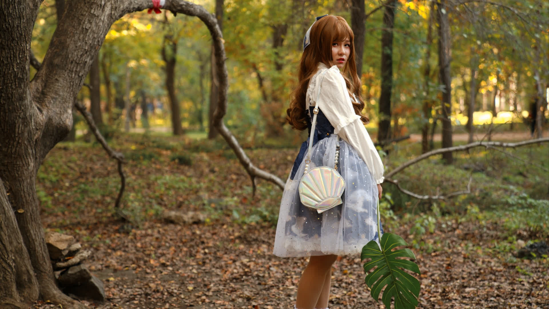 应用 LUT 后预览