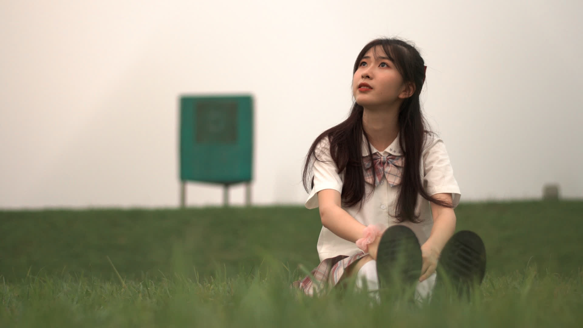 应用 LUT 后预览