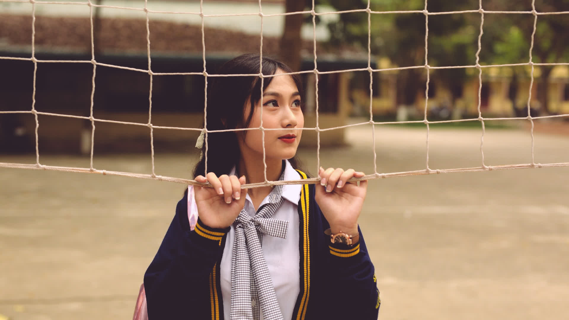 应用 LUT 后预览