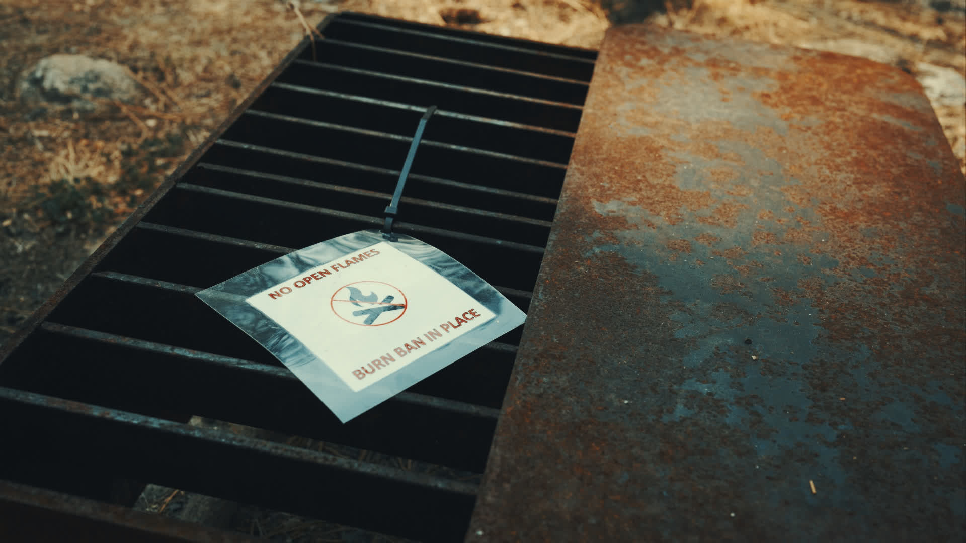 应用 LUT 后预览