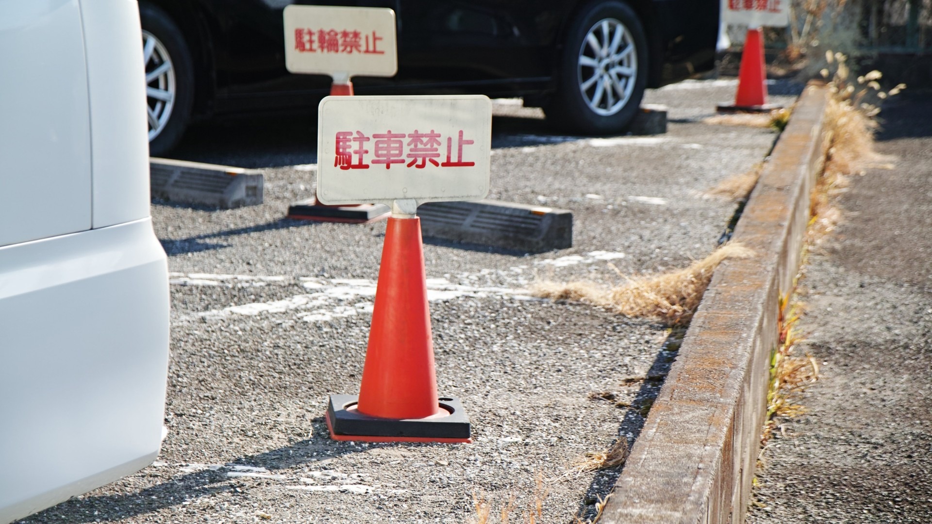 原始预览