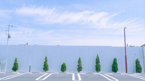 宝丽来Polaroid 690Cold 2-16