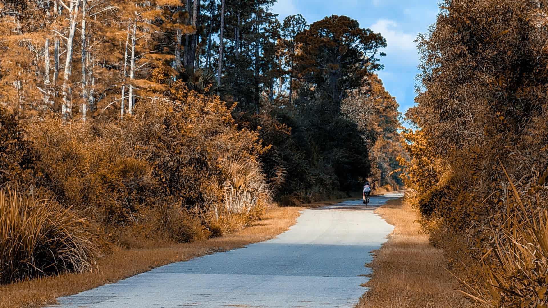 应用 LUT 后预览