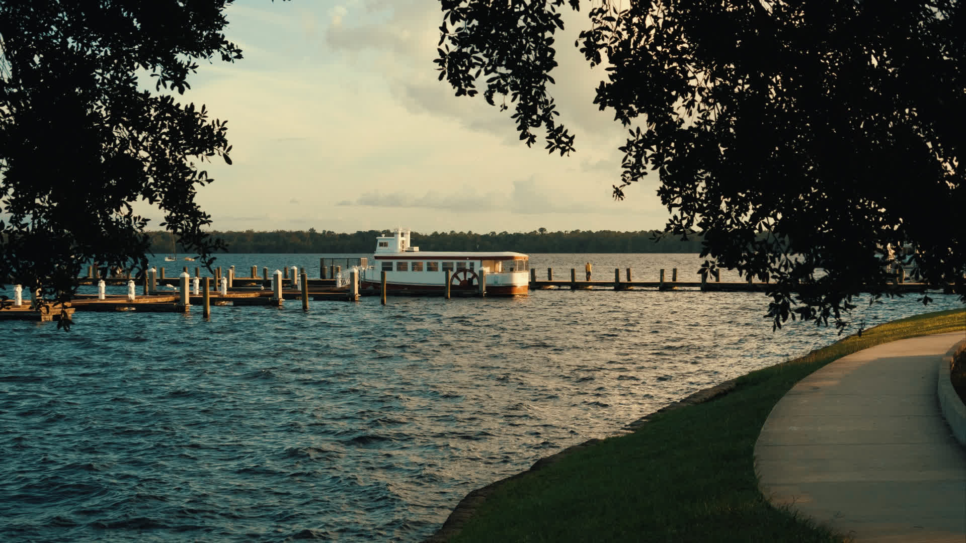 应用 LUT 后预览