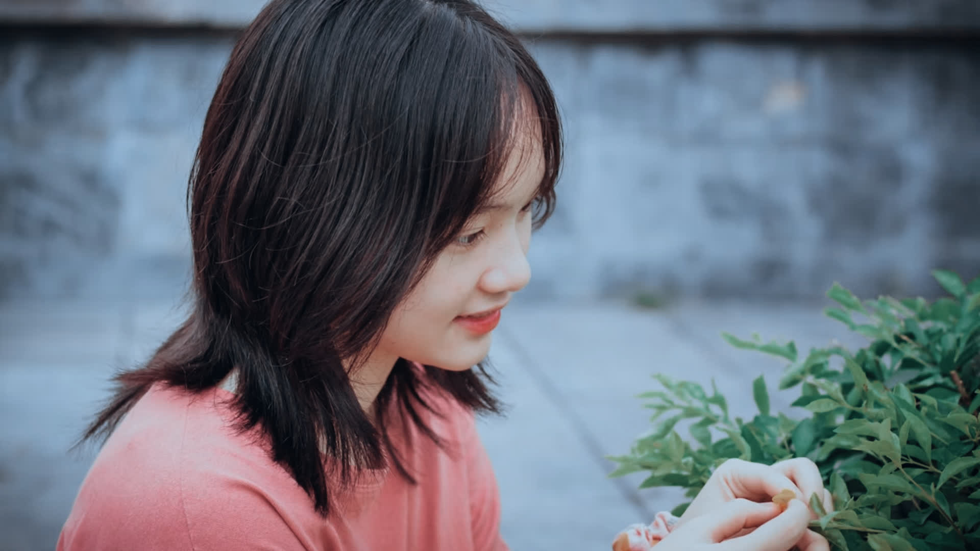 应用 LUT 后预览