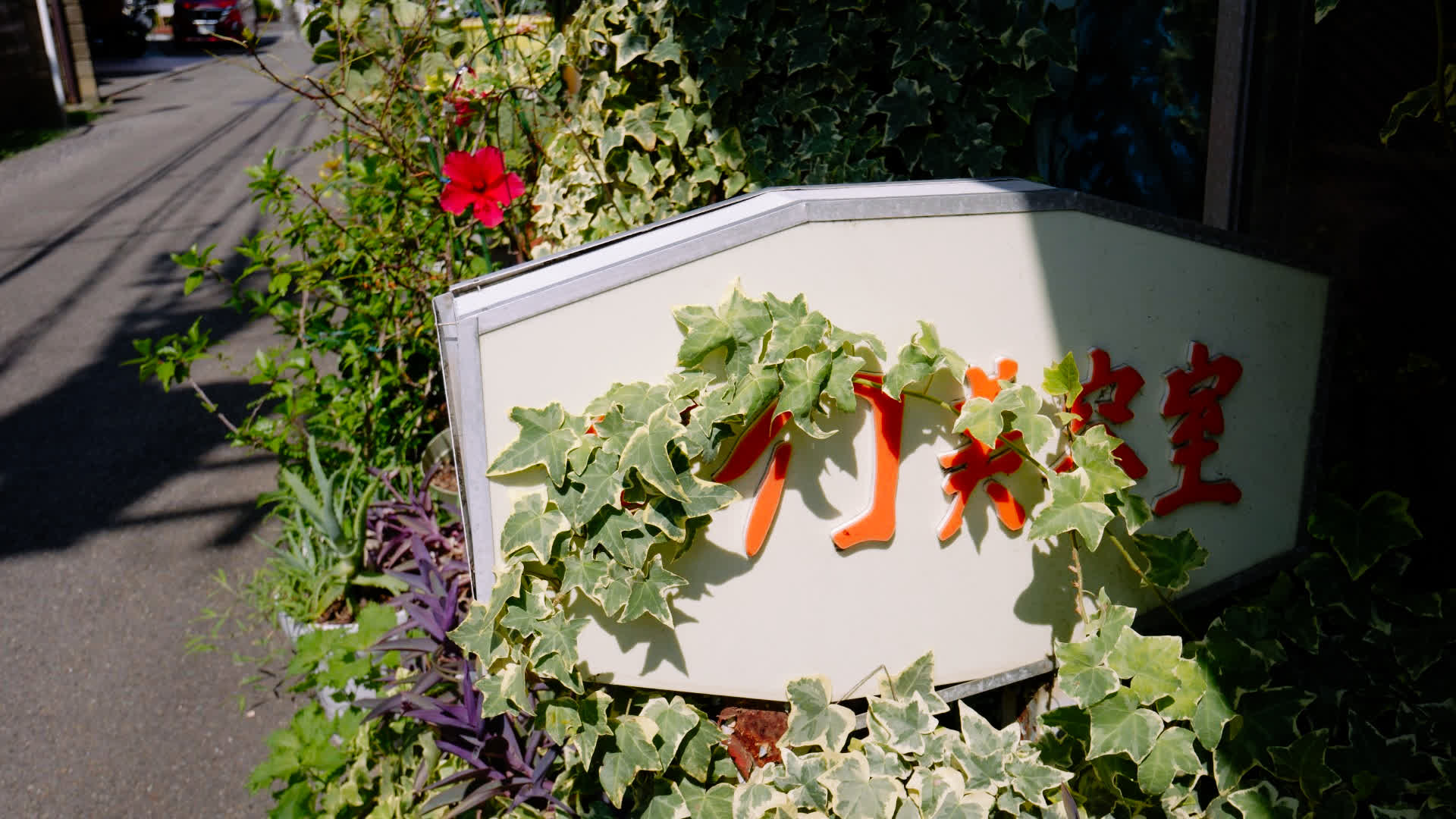 应用 LUT 后预览