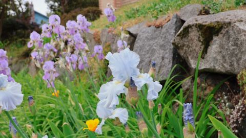 更好的动态范围鲜明