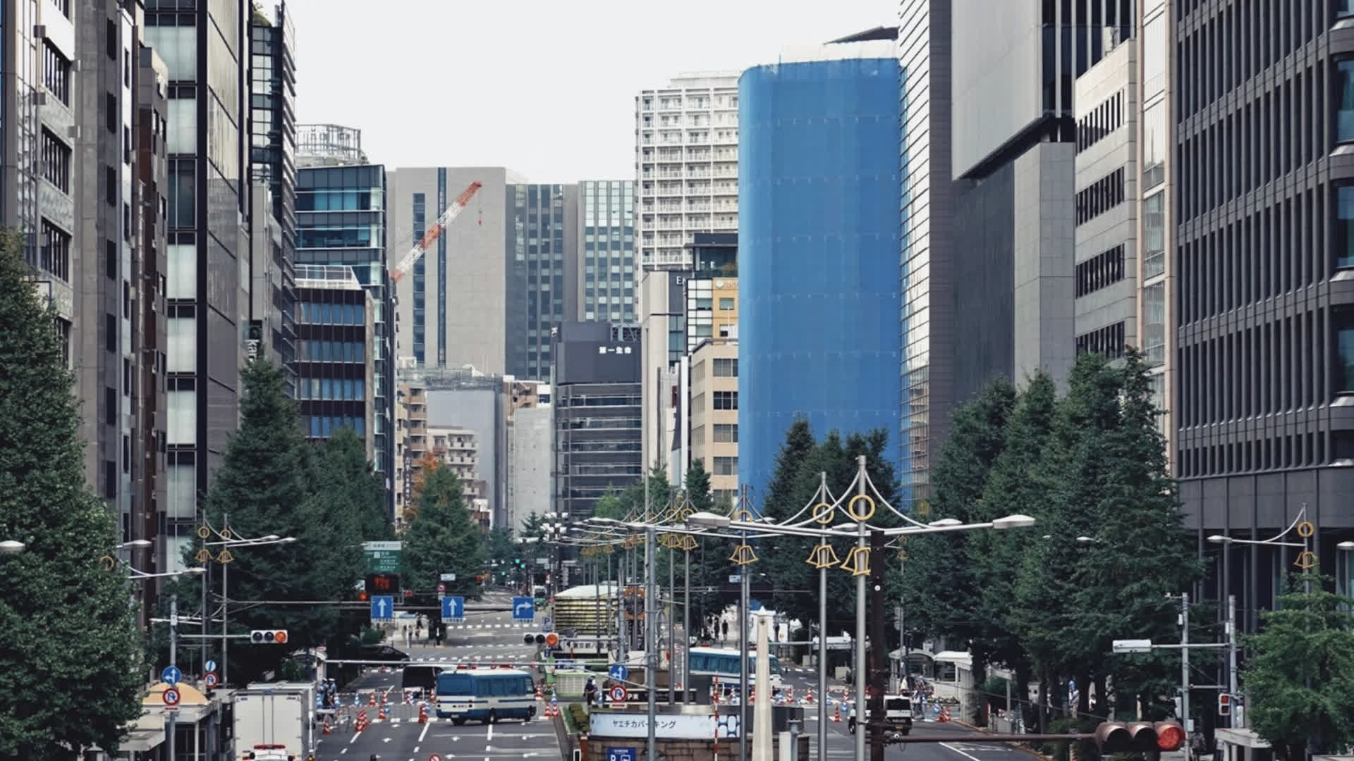 应用 LUT 后预览