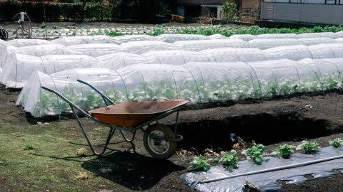 柯达 Portra 160 NC 1 -