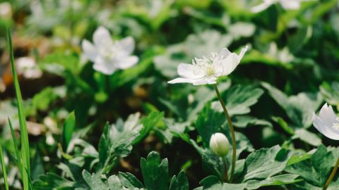 柯达 Portra 400 UC 3 +