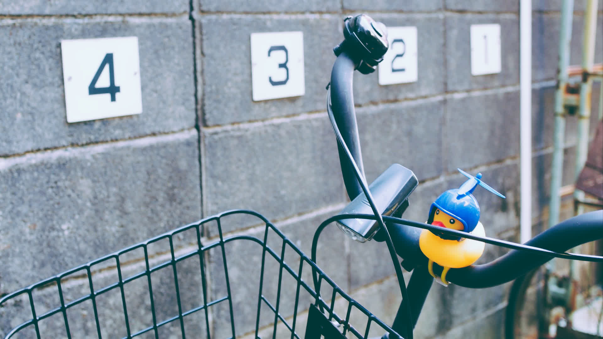 应用 LUT 后预览