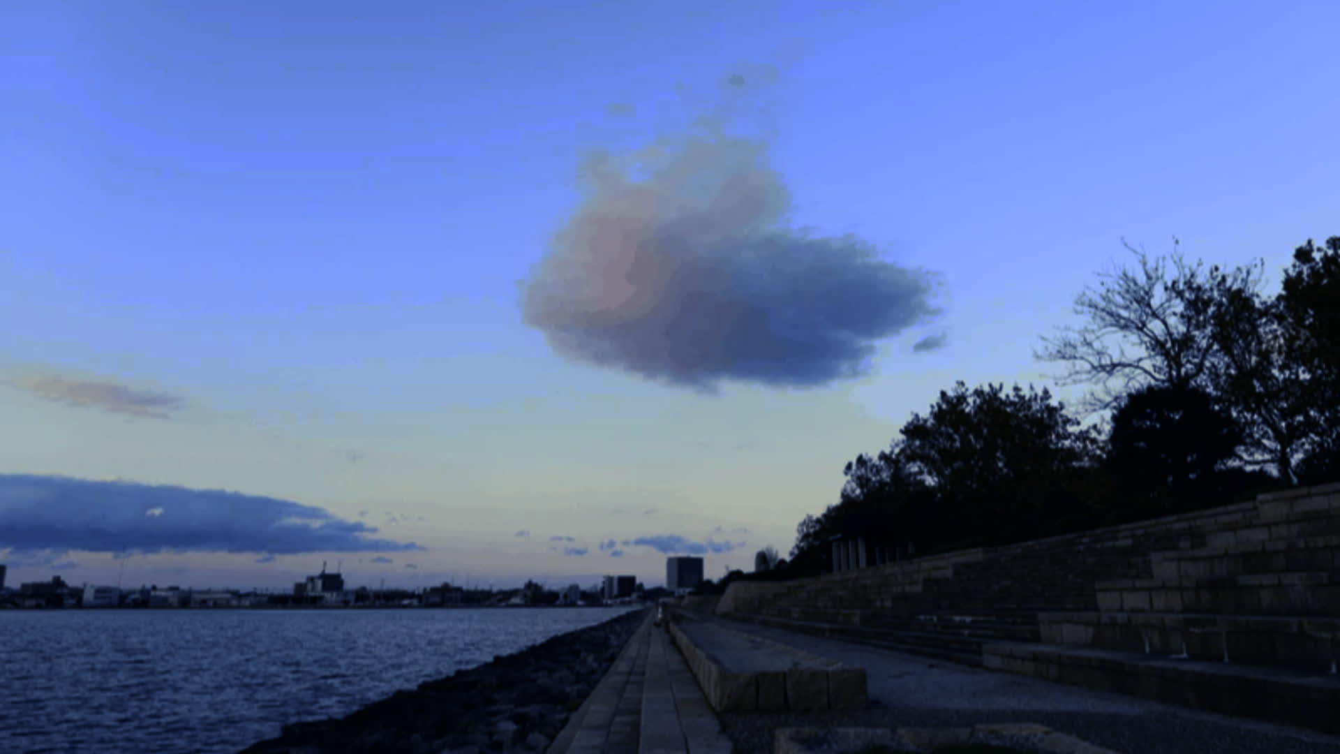 应用 LUT 后预览