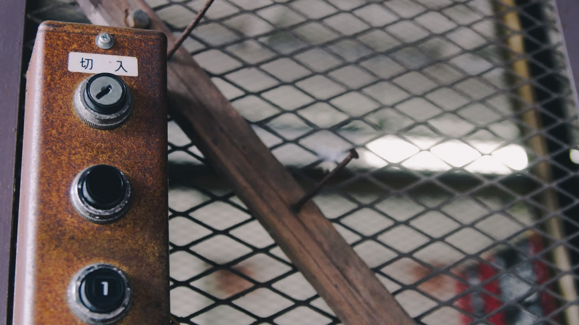 应用 LUT 后预览