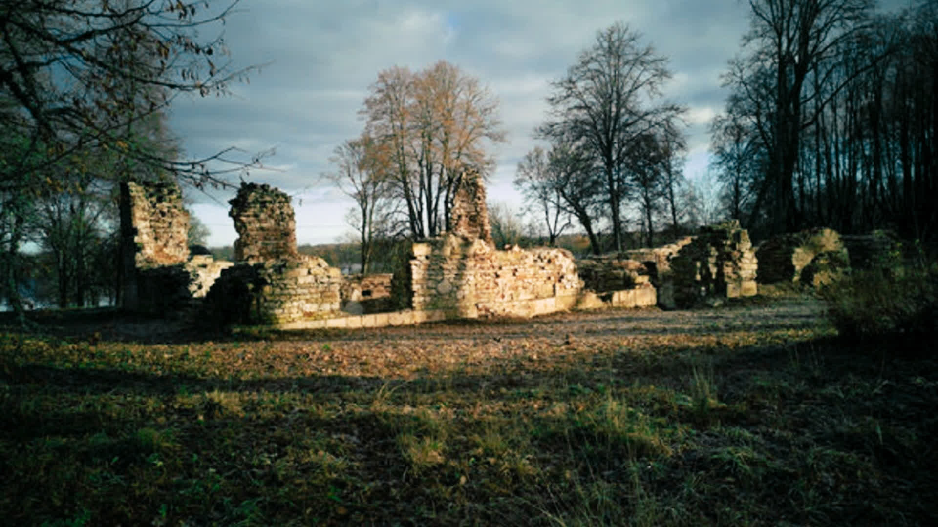 应用 LUT 后预览