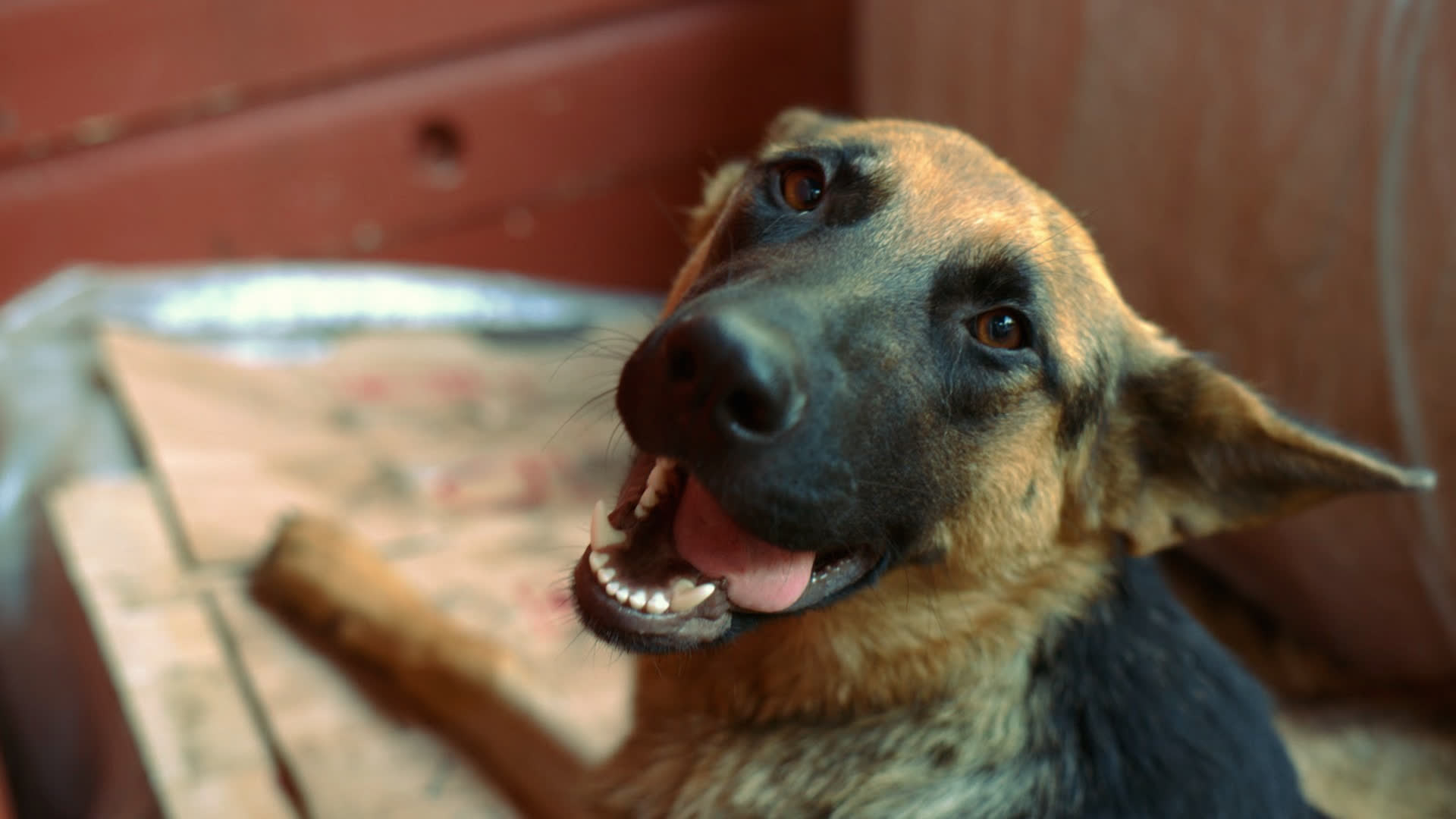 应用 LUT 后预览