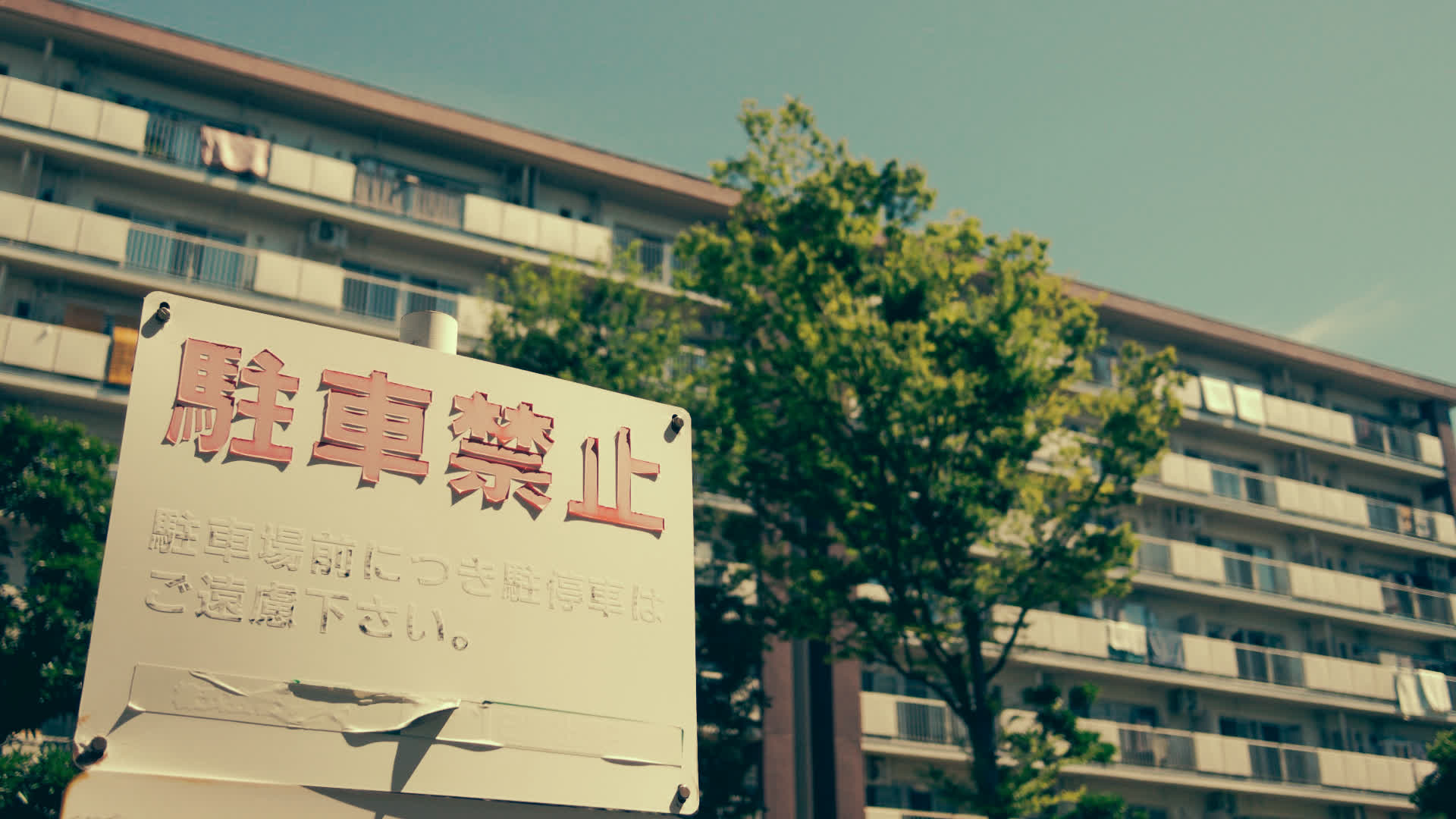 应用 LUT 后预览