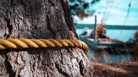 超鲜艳的蓝绿色和秋季棕色