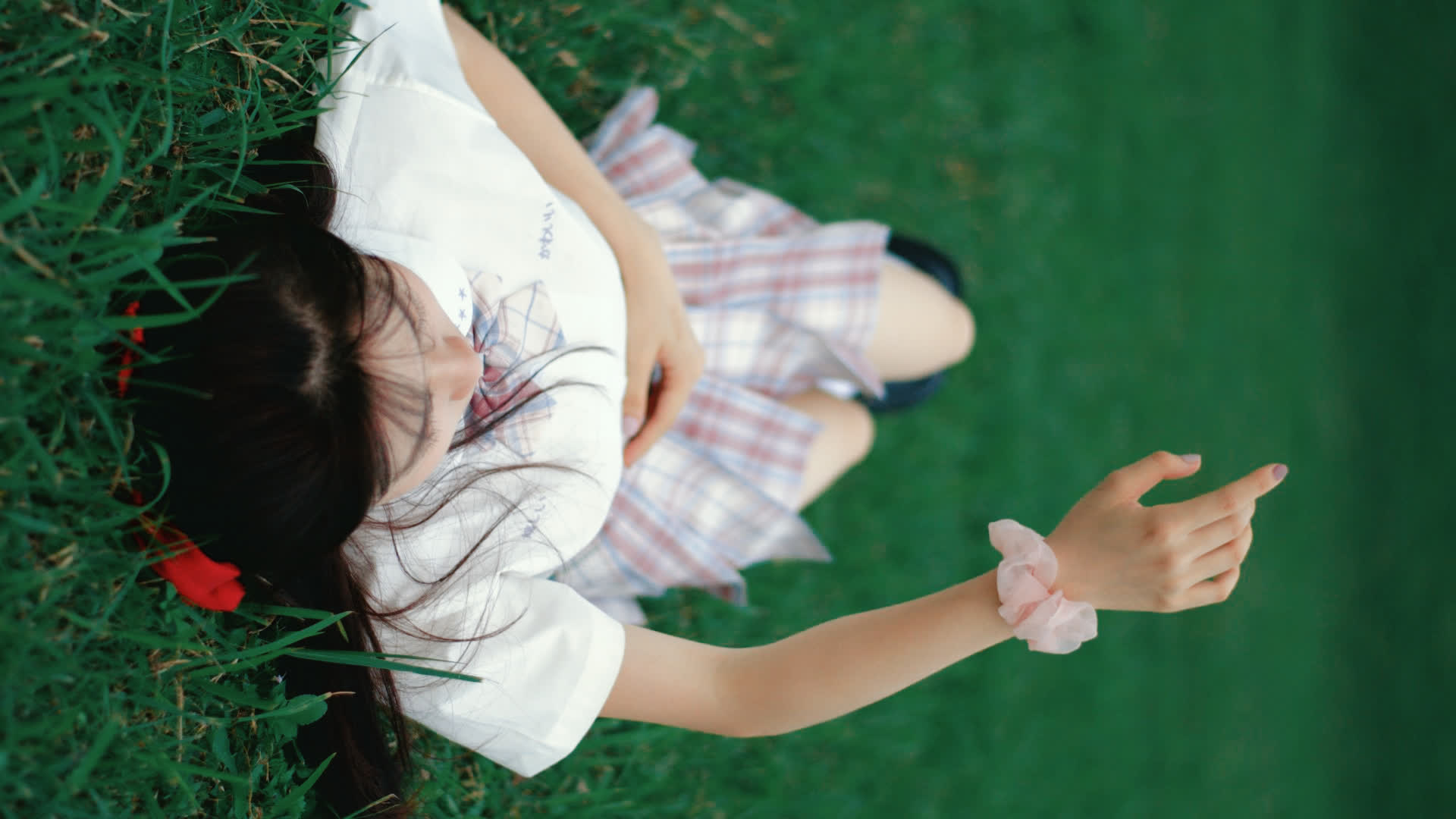 应用 LUT 后预览