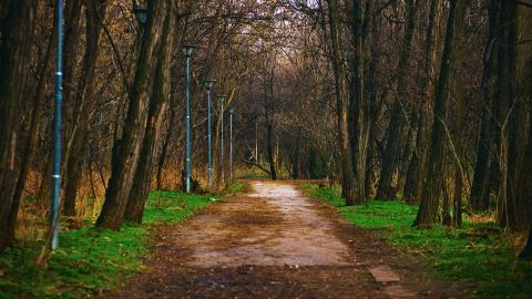 公园漫步清新蓝绿