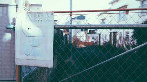 宝丽来Polaroid 669 4 +2