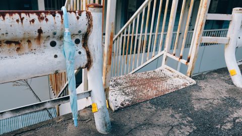 柯达 Portra 160 VC 3 +