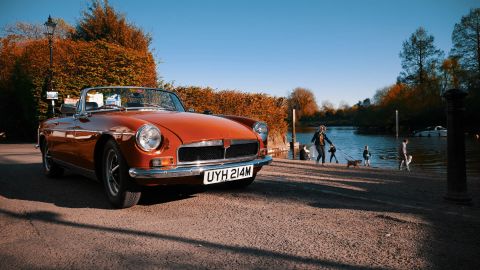 温暖而对比强烈 绿色转变为深橙棕色