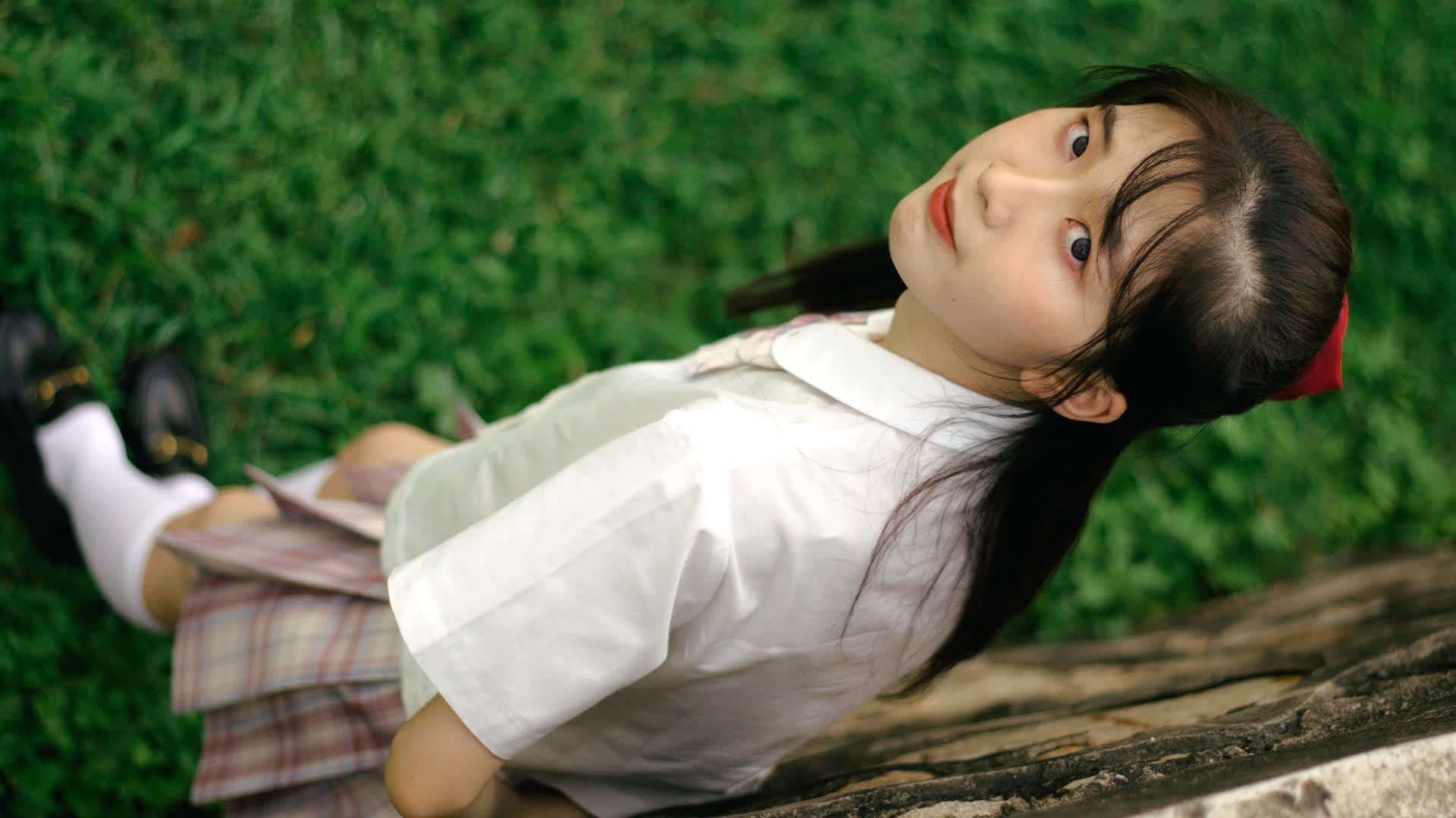 应用 LUT 后预览