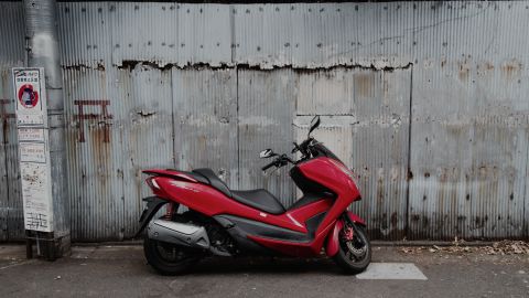 红不发粉 绿蓝正