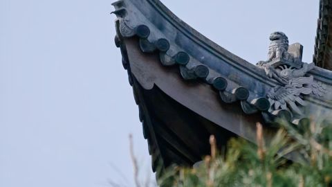 日系-清新系列 1