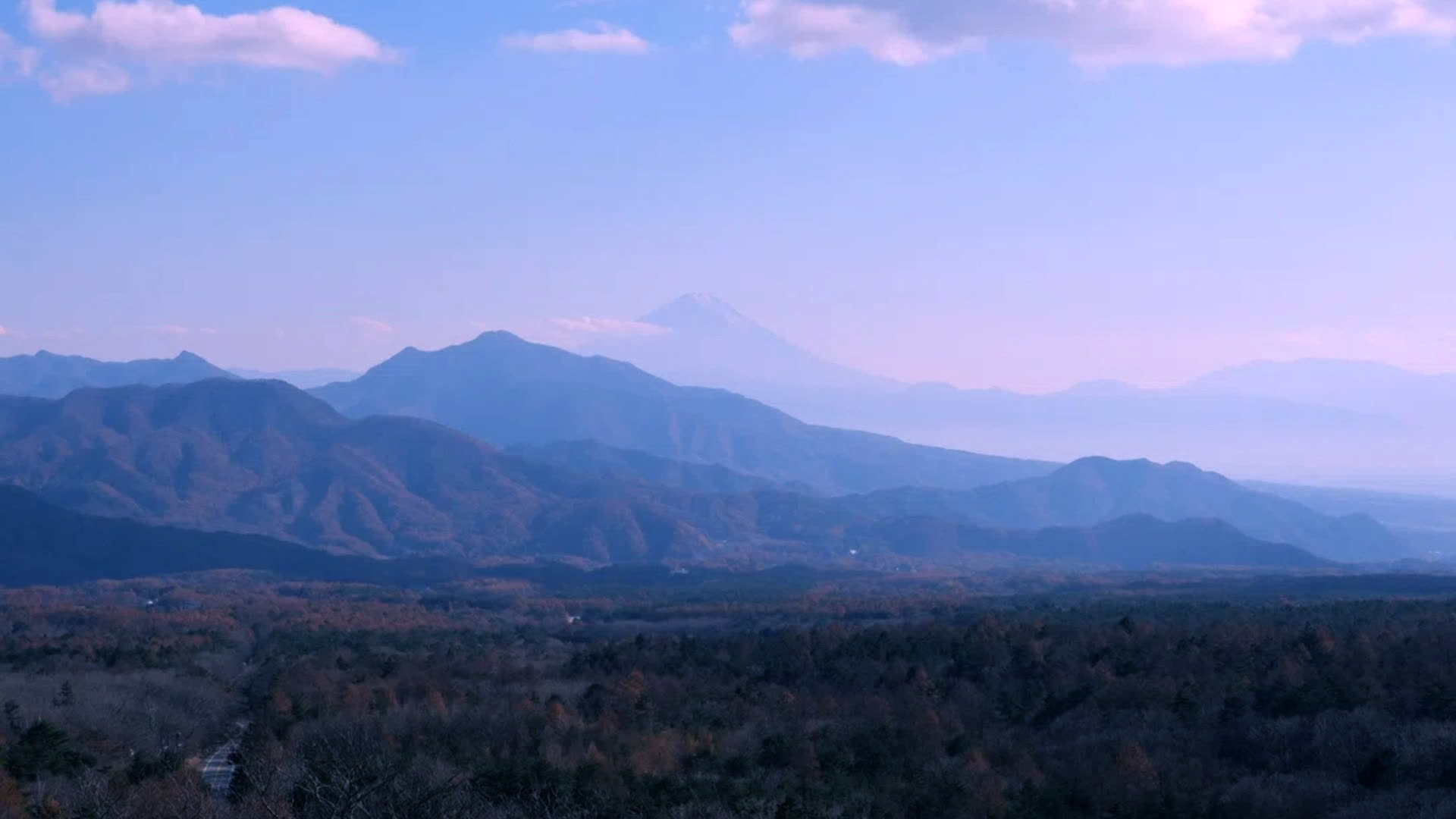 应用 LUT 后预览