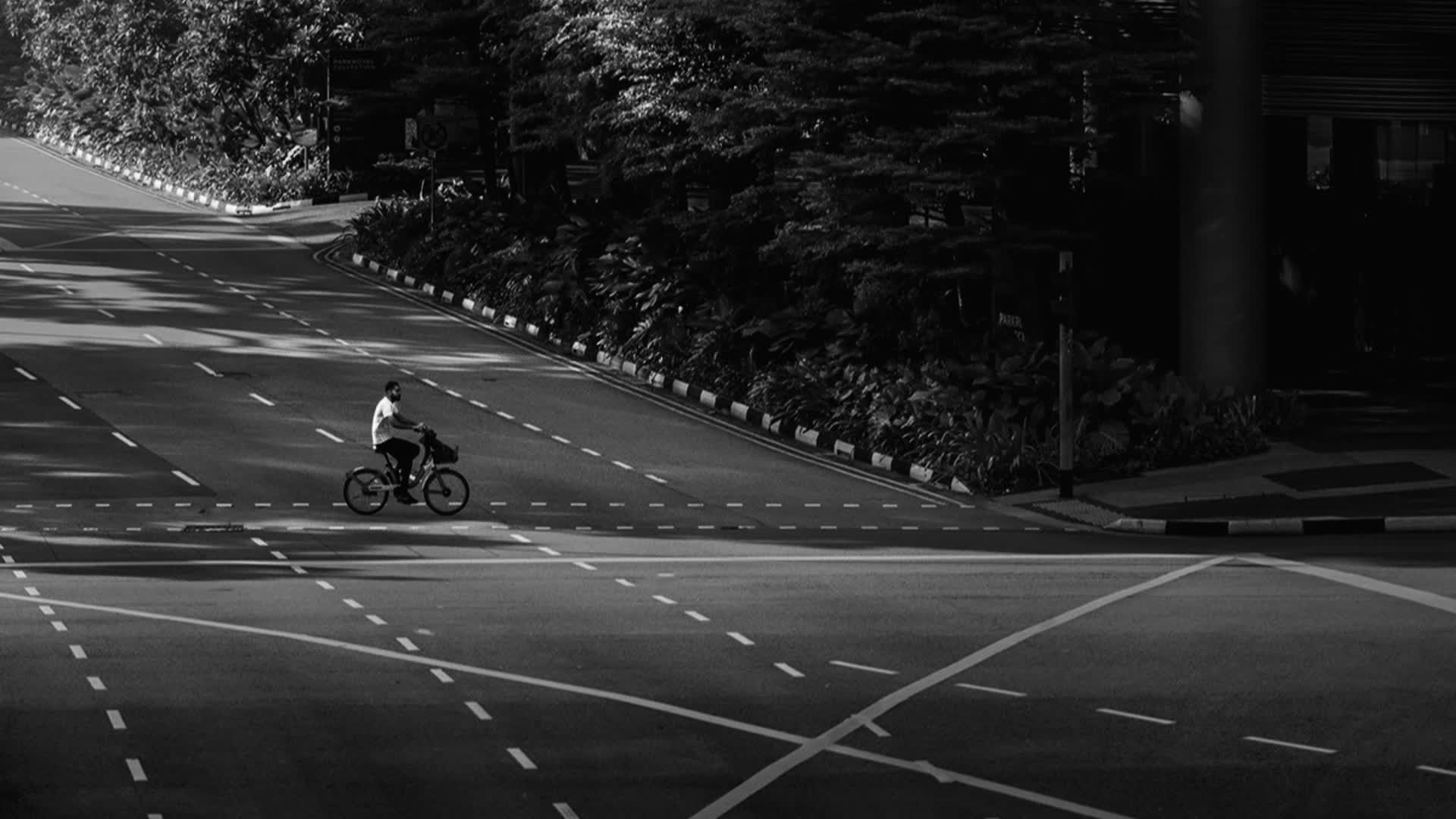 应用 LUT 后预览