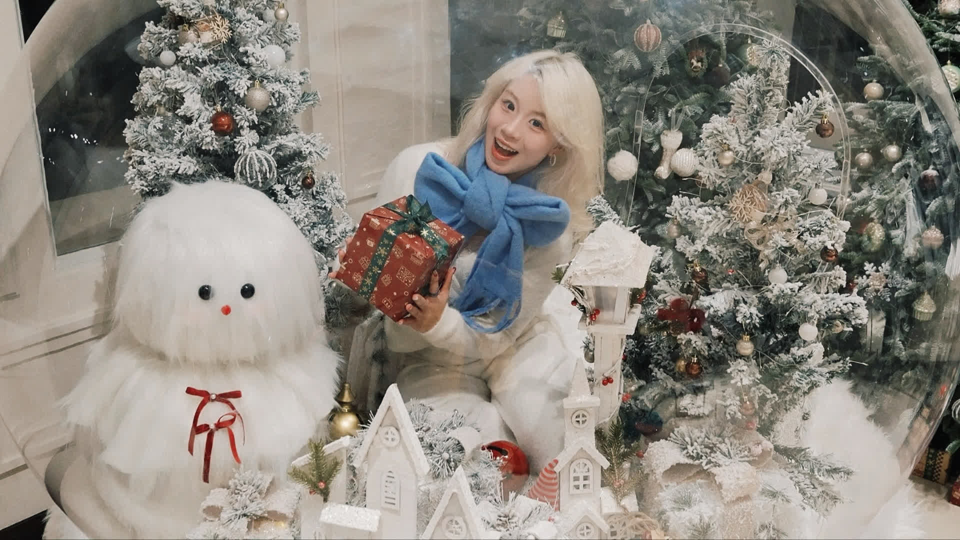 应用 LUT 后预览