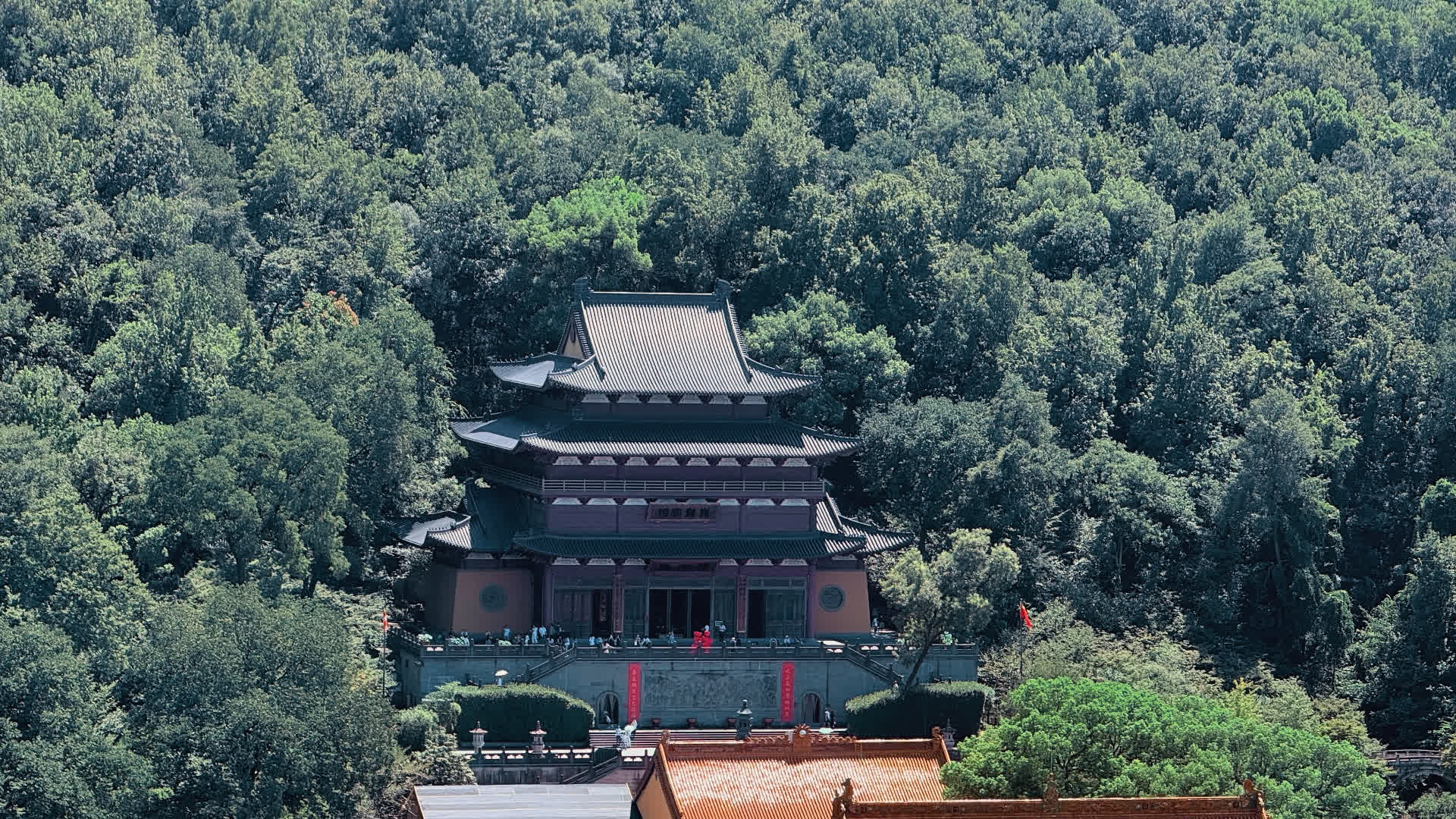 应用 LUT 后预览