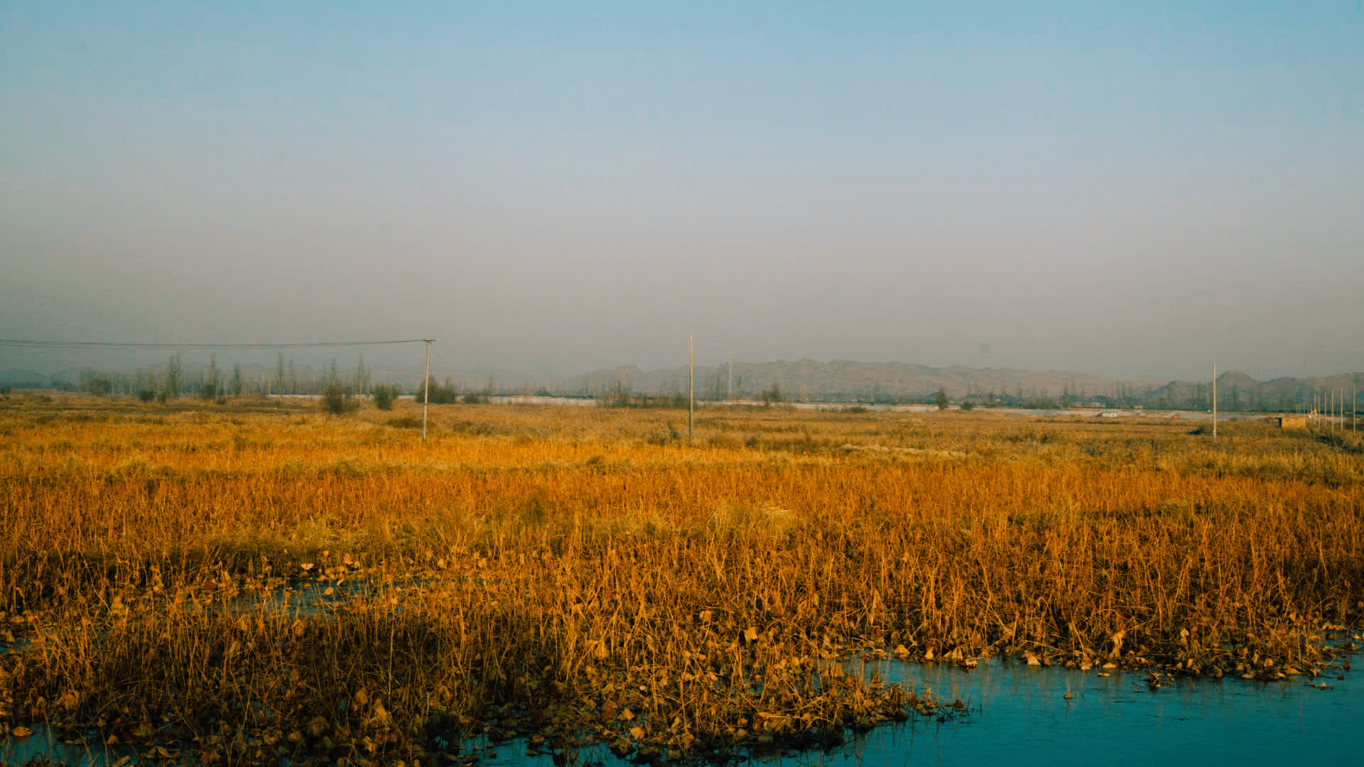 应用 LUT 后预览