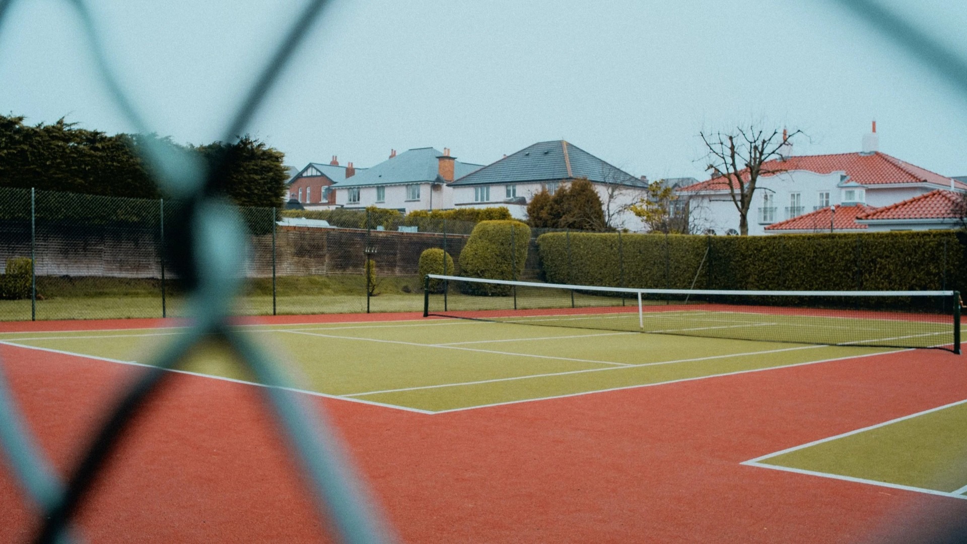 应用 LUT 后预览