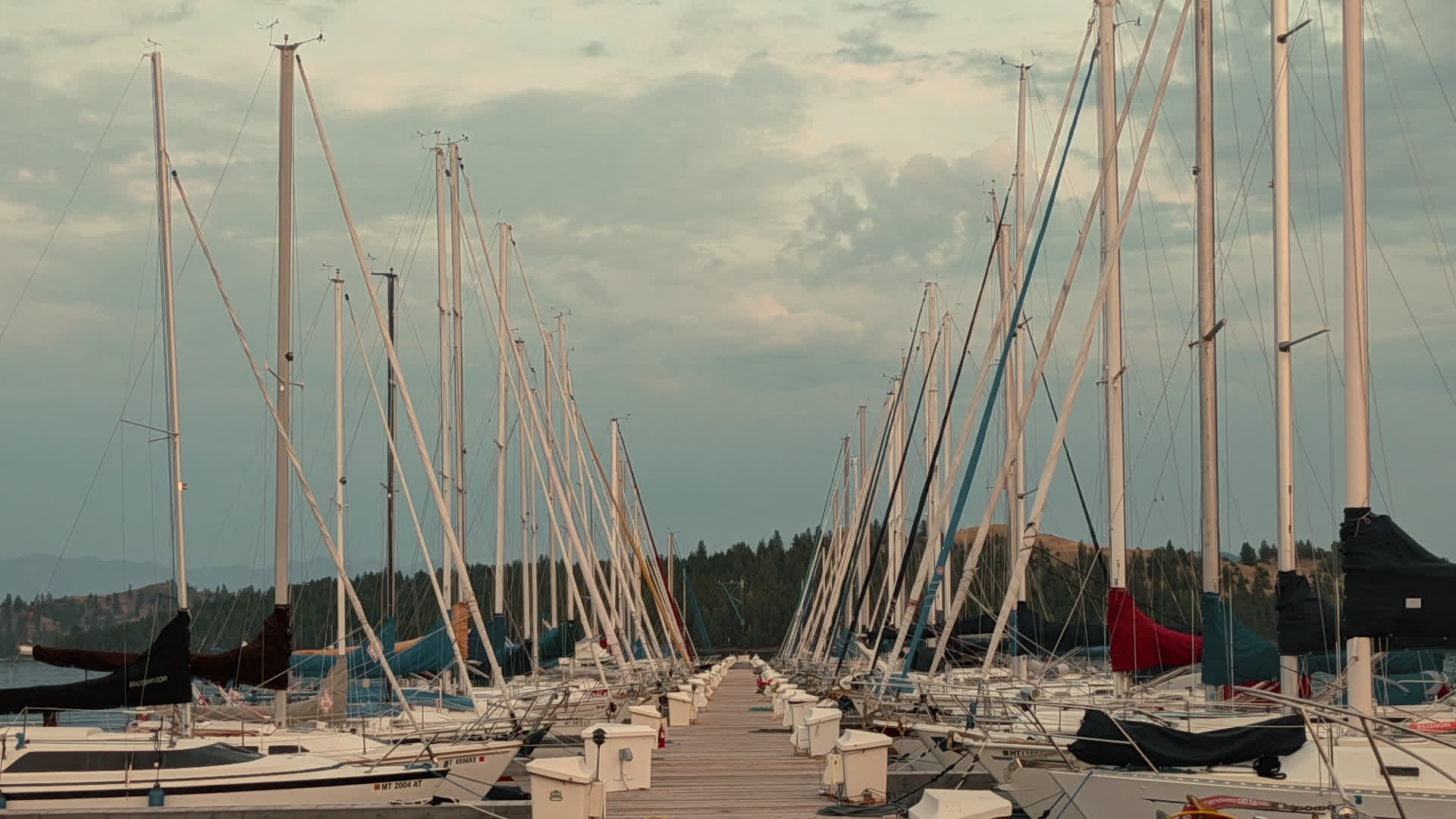 应用 LUT 后预览