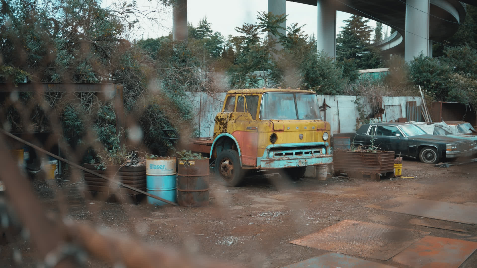 应用 LUT 后预览