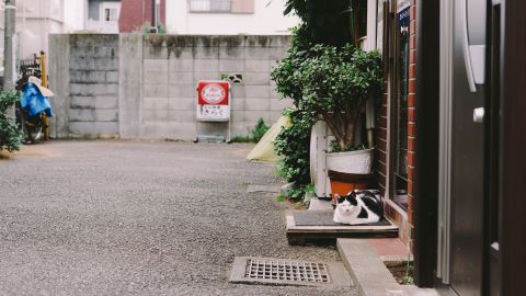 柯达 Portra 400 VC 4 ++