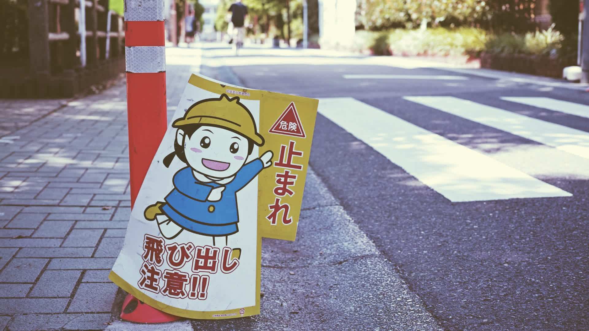 应用 LUT 后预览