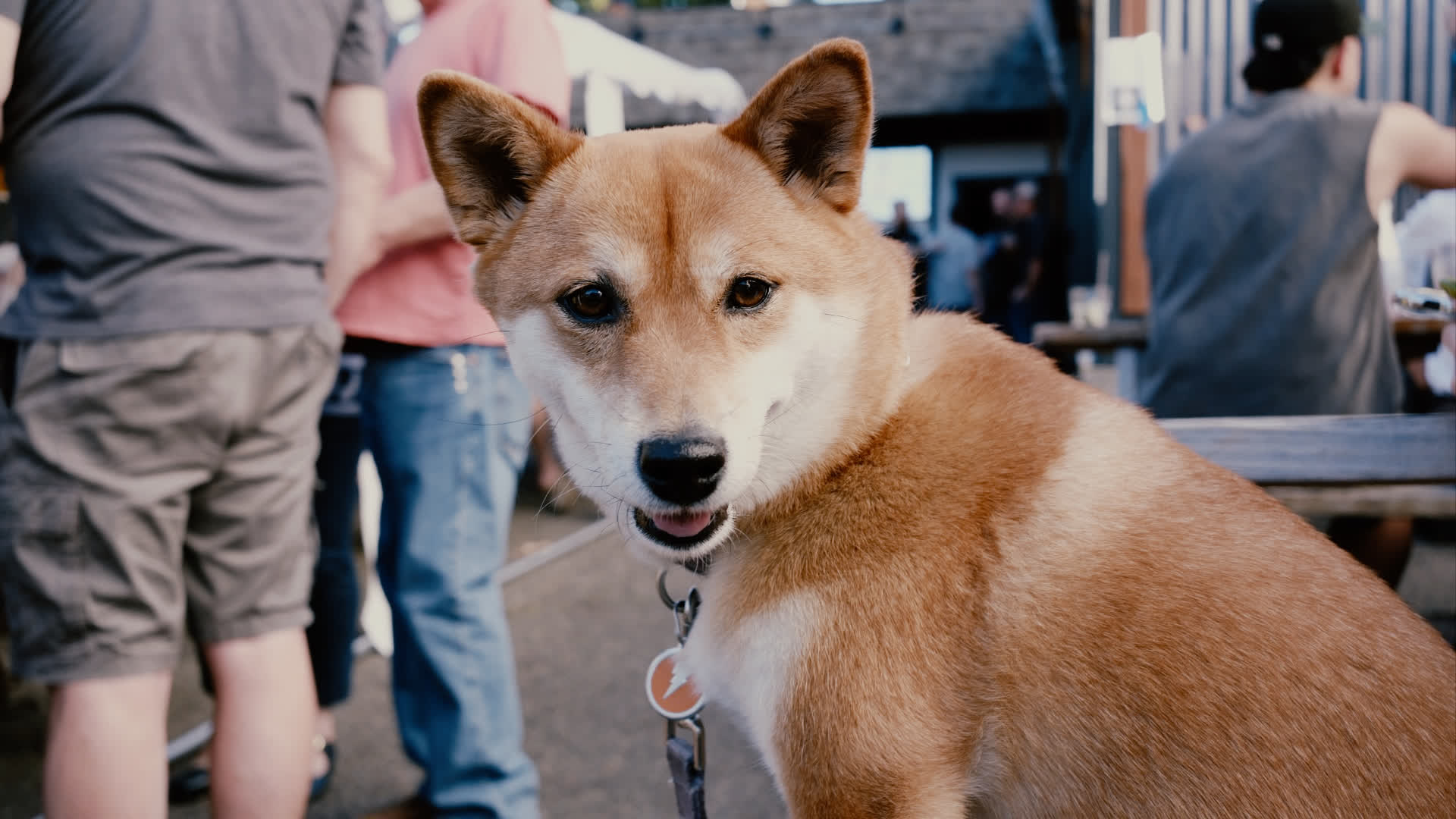 应用 LUT 后预览