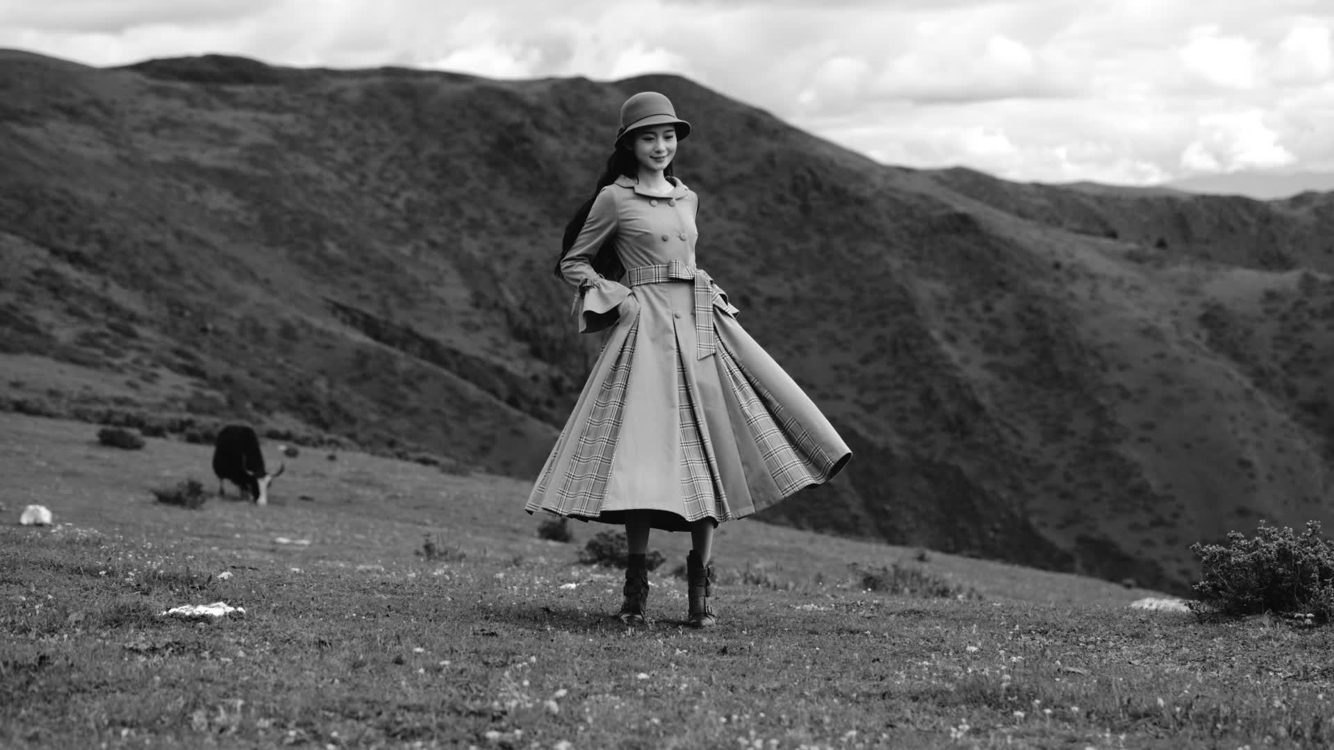 应用 LUT 后预览